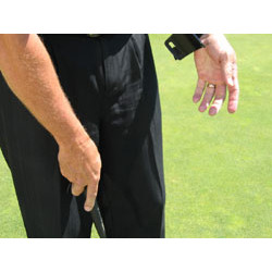 Putting and Chipping brace