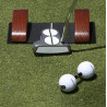 Putting Gate + Dual Ball Trainer