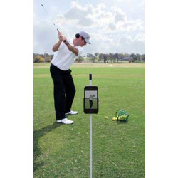 iPhone Holster Golf with stand