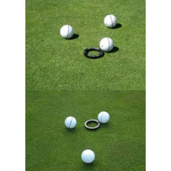 Ball liner + target golf hole