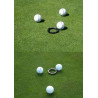 Ball liner + target golf hole 2-pack