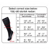 Socks Performance Graduated Compression VS functionXtra+ black M