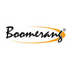 Boomerang golf